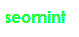 seomint-logo